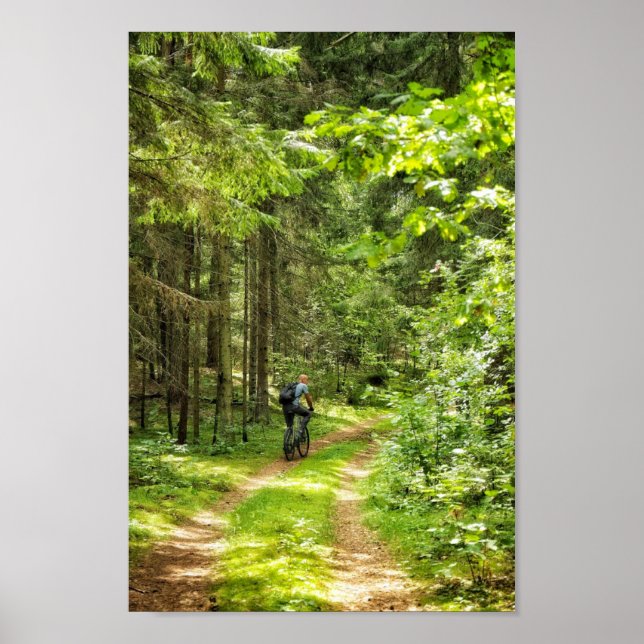 Poster Paisagem Natural Cenário Florestal da Bielorrússia (Frente)