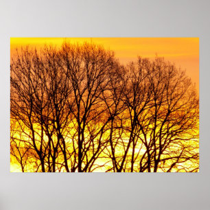 Poster Paisagem natural de belo nascer do sol