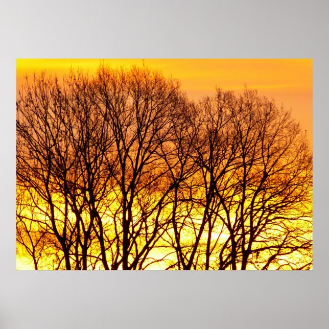 Poster Paisagem natural de belo nascer do sol (Frente)