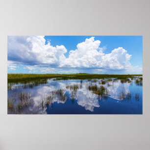 Poster Paisagem Natural de Everglades