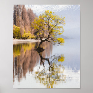Poster Paisagem natural do outono de Árvore Wanaka