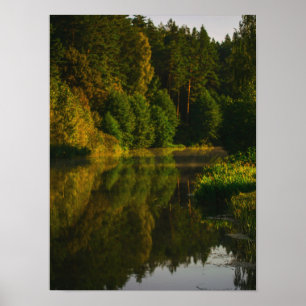 Poster Paisagem Natural Lago de Cenário Árvores do Canal