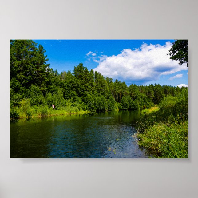 Poster Paisagem natural Paisagem lago Árvores Belarus Pos (Frente)