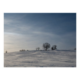 Póster Paisagem nevada