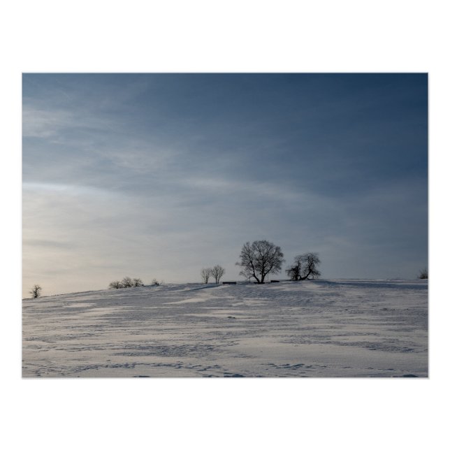 Póster Paisagem nevada    (Frente)