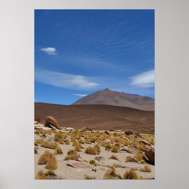 Poster Paisagem no Deserto do Altiplano boliviano (Frente)