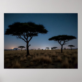 Poster Paisagem Noturna de Árvores de Acácia da Savana Af