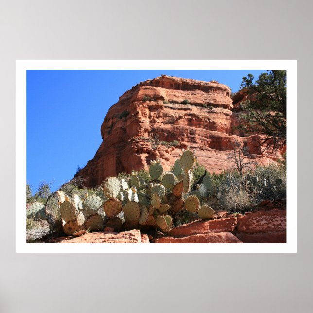 Poster Paisagem Ocidental (Frente)