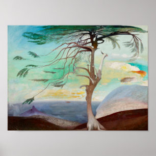 Póster Paisagem Paisagem de Árvore Cedar do solitário
