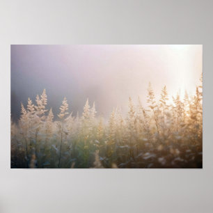 Poster Paisagem Picturesca Natureza Fechar Fundo