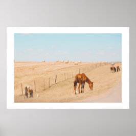 Poster Paisagem Rural Cavalos Selvagens Campos Aves