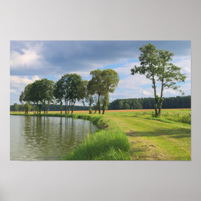 Póster Paisagem rural com árvores, água e céu nublado (Frente)