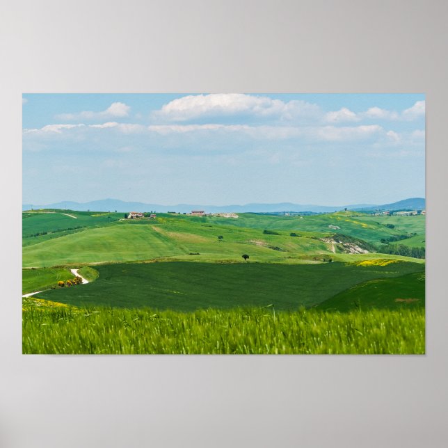 Poster Paisagem Típica da Toscana (Frente)