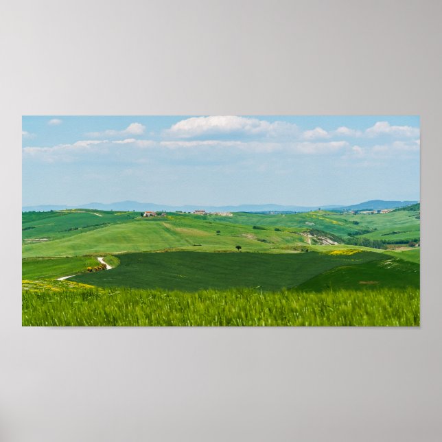Poster Paisagem Toscana Típica (Frente)
