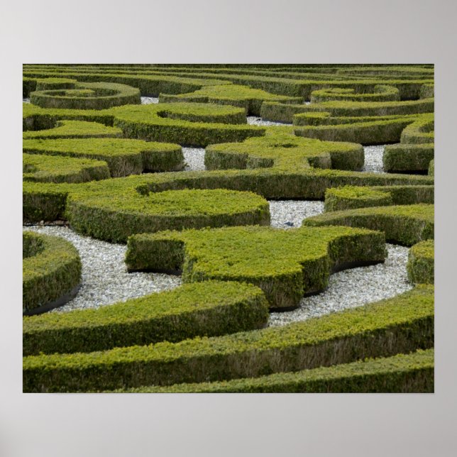 Póster Países Baixos (também conhecido como Holanda), Ape (Frente)