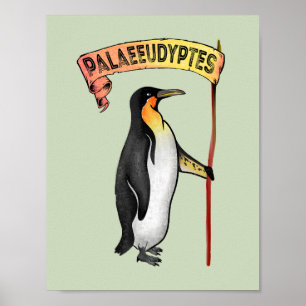 Poster Palaeeudyptes Extinct Penguin