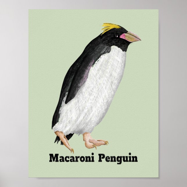Poster Palaeeudyptes Extinct Penguin (Frente)