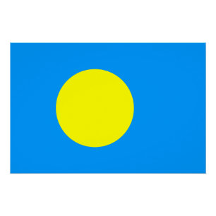 Póster Palau Flag