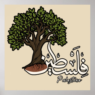 Poster Palavra Árabe Palestina com Árvore Oleícola Palest