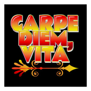 Póster Palavras de Sabedoria Divertida