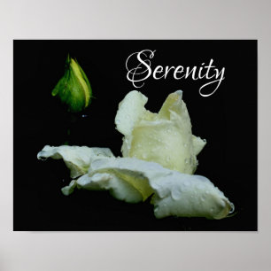 Poster Palavras Inspirativas sobre o Robusto Branco da Se