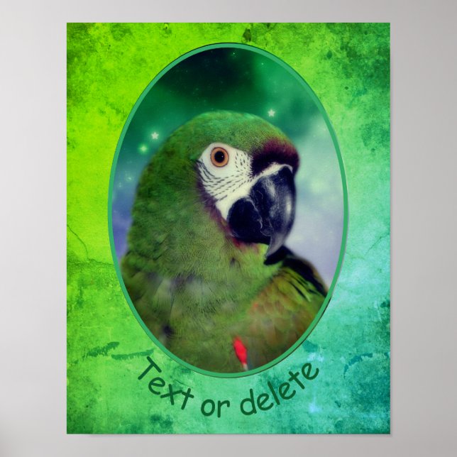 Poster Palavras Personalizadas Severas do Macaw (Frente)