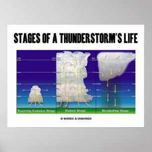 Póster Palcos de uma tempestade (Meteorologia)