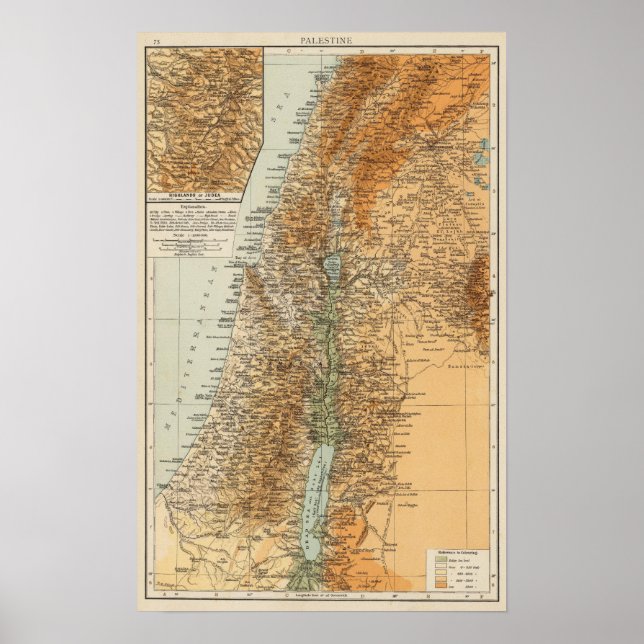 Poster Palestina 4 (Frente)