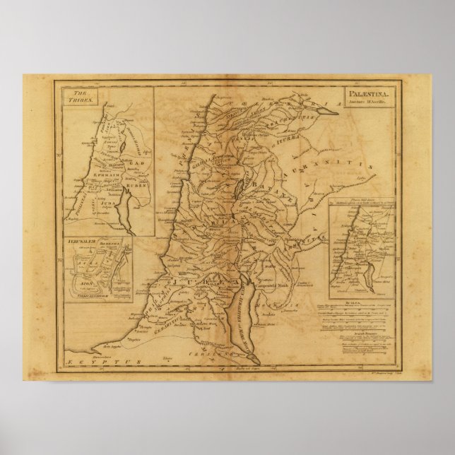 Poster Palestina 5 (Frente)