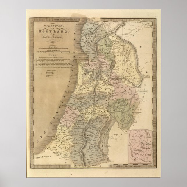 Póster Palestina 5 (Frente)