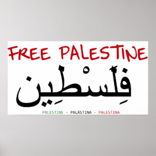 Póster Palestina livre