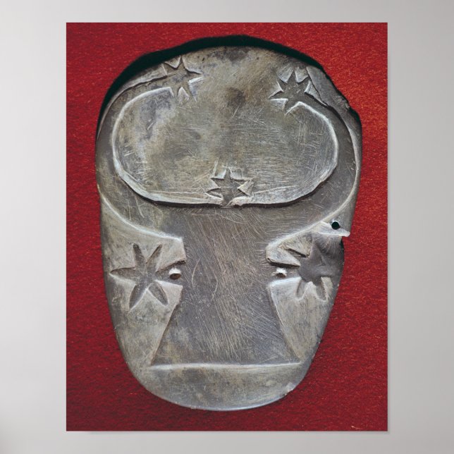 Poster Paleta da cabeça do Bull (Frente)