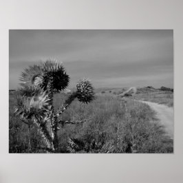 Poster palha no verão de Madrid