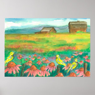 Poster Palhetas De Campo Do Coneflower Na Cerca