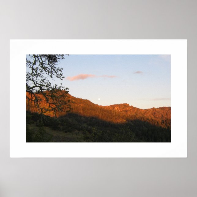 Póster Palisades (Frente)