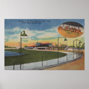 Póster Palm Beach, FL - Kennel Club, Dog Racing Track