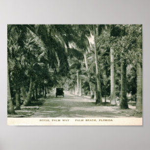 Póster Palm Beach, Florida, vintage da maneira da palma