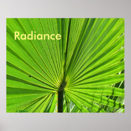 Poster - Palm Frond no Sol