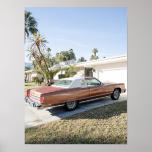 Poster Palm Primavera California - Vintage Views