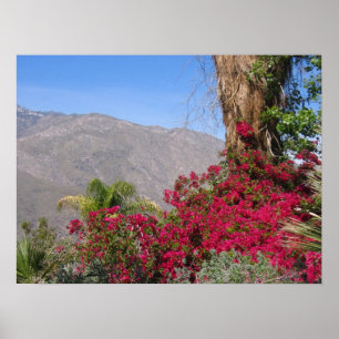 Poster Palm Spring (4)