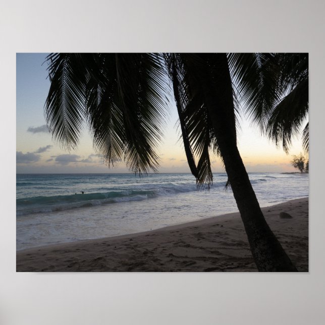 Poster Palm Sunset Barbados (Frente)