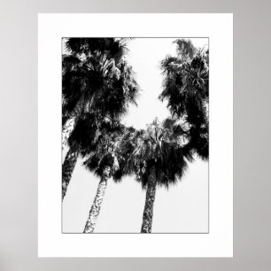 Póster Palm Tree