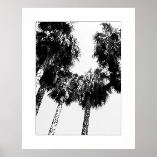 Póster Palm Tree