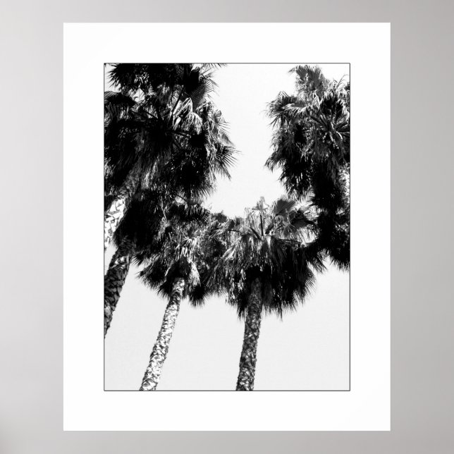 Póster Palm Tree (Frente)