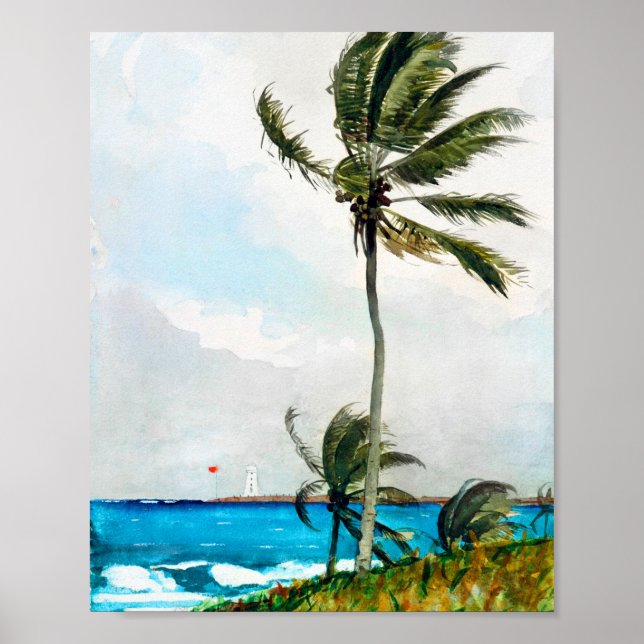 Poster Palm Tree Nassau por Winslow Homer (Frente)