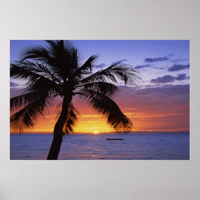 Poster Palm Tree Sunset (Frente)