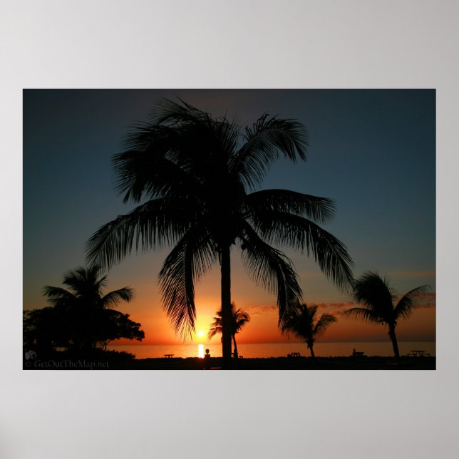 Poster Palm Tree Sunset (Frente)