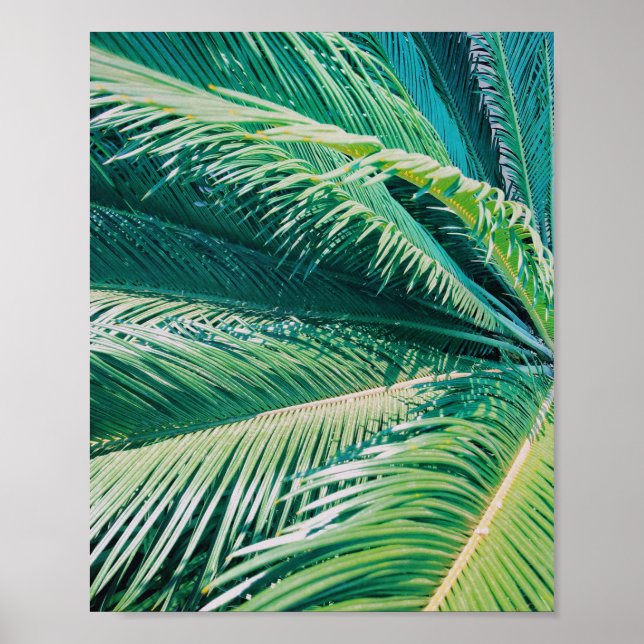 Poster Palm Tree Tropical Beach PhotoImpressão (Frente)