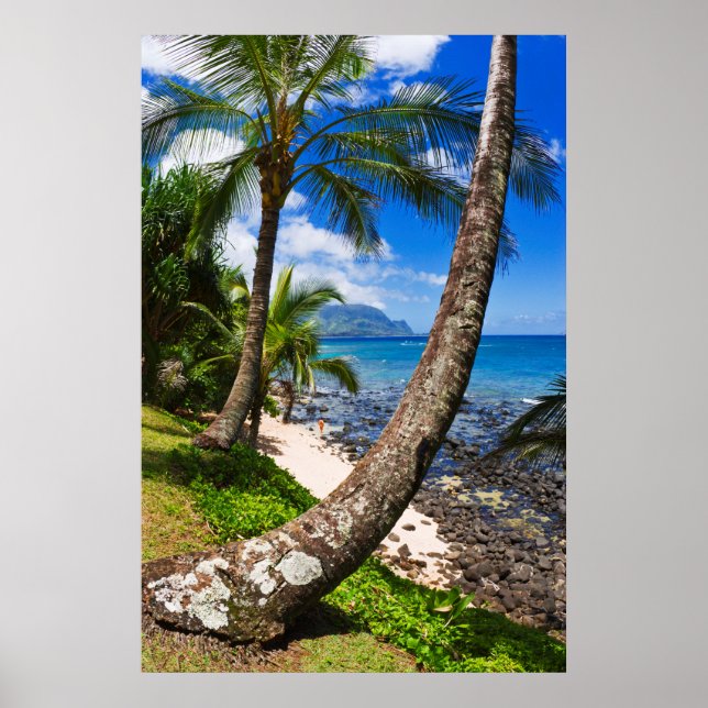 Poster Palm Trees Ao Longo Da Praia De Hideaways (Frente)
