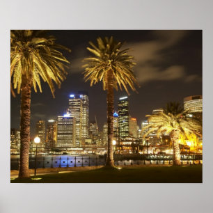 Póster Palm Trees e CBD à noite, Sydney, New South